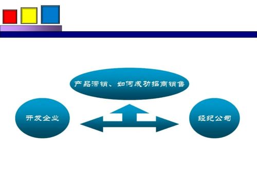 劲花项目营销策划方案分享